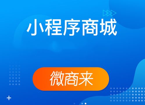 做微信小程序商城怎么回本